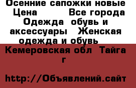 Осенние сапожки новые › Цена ­ 600 - Все города Одежда, обувь и аксессуары » Женская одежда и обувь   . Кемеровская обл.,Тайга г.